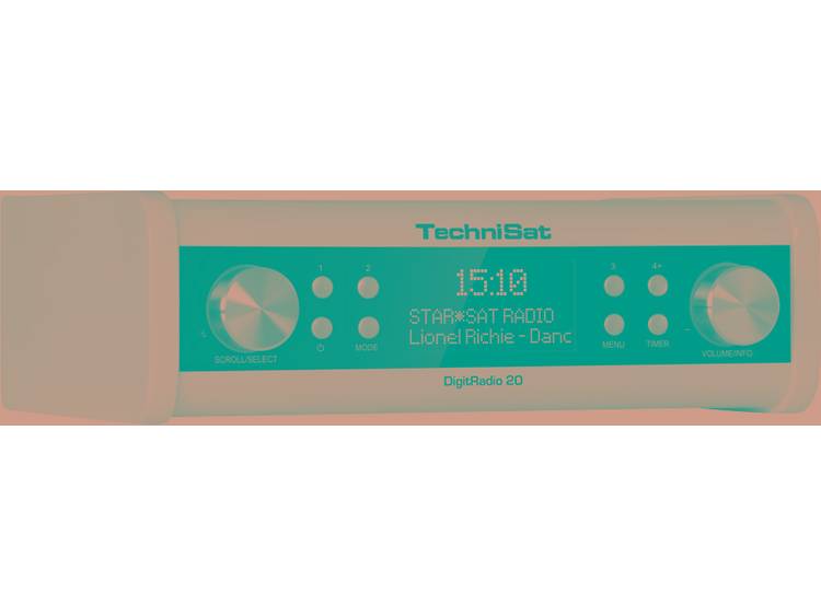 TechniSat Technisat DigitRadio 20 wit (0001-4987)