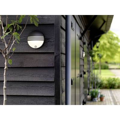 Buitenaanzicht van een gebouw met donkere houten bekleding, verlicht door een ronde lamp aan de muur. Een boom en planten zijn zichtbaar.