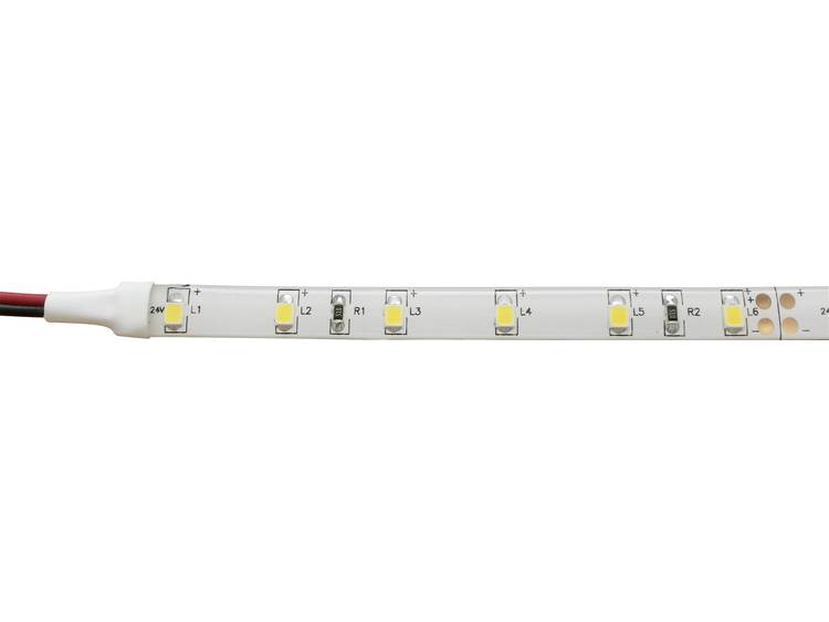 LED-strip Amber met open kabeleind 24 V 500 cm Barthelme 51512422
