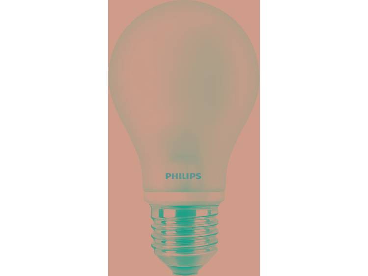 Philips LED-lamp Filament-Retro-LED E27 Warmwit 4.5 W = 40 W Peer 1 stuks