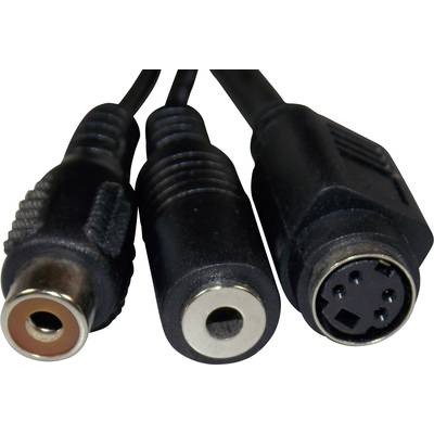 Twee audiokabels met verschillende aansluitingen: een vrouwelijke RCA-stekker, een vrouwelijke 3,5-mm-jackplug en een mannelijke Mini-DIN-stekker.