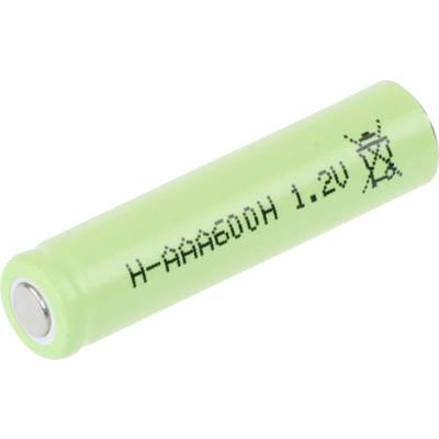 Groene AAA-batterij met de opdruk 'H-AAA600H 1.2V' en een symbool voor correct recyclen.