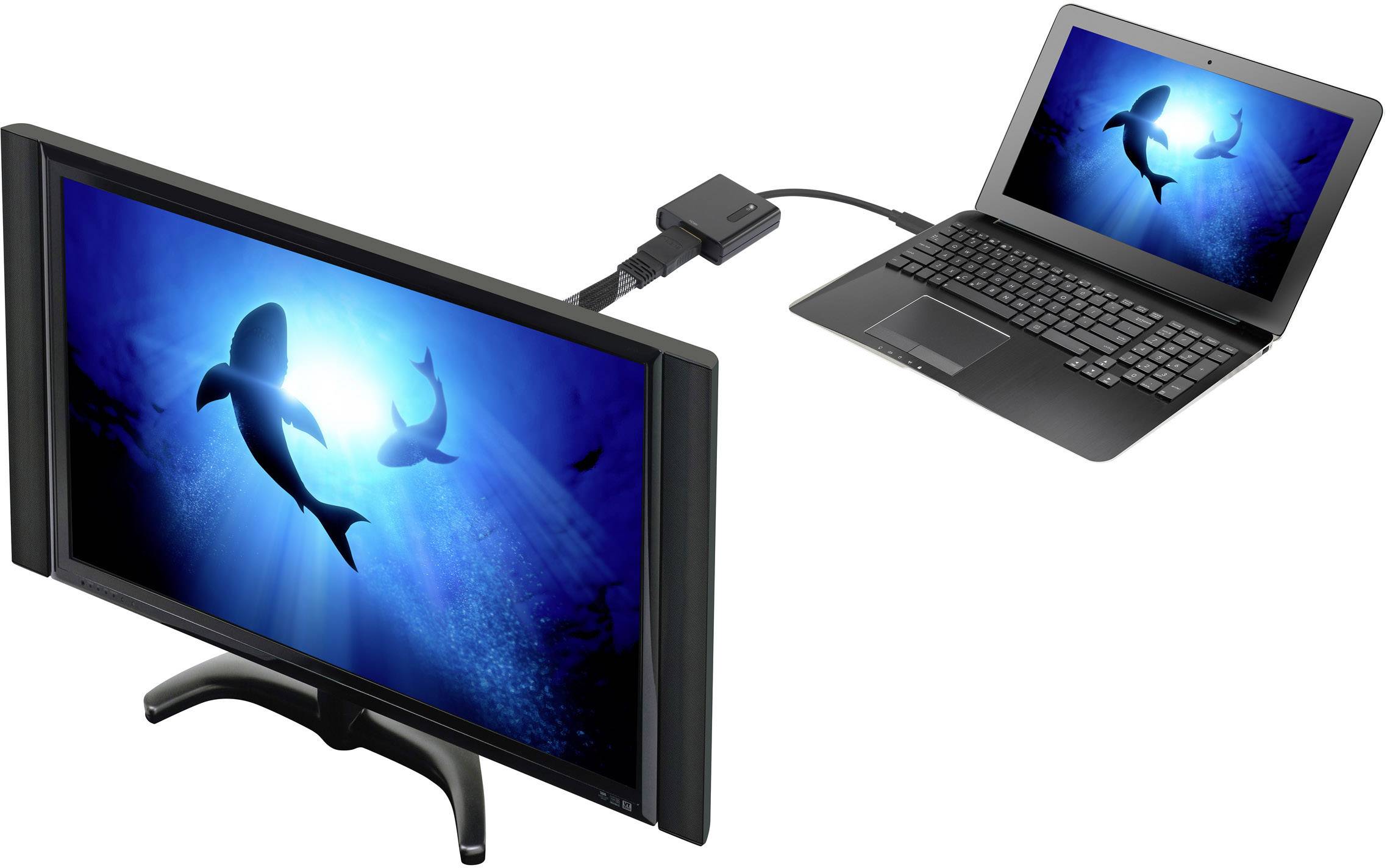 Een laptop is verbonden met een externe monitor die twee dolfijnen in de blauwe oceaan toont.