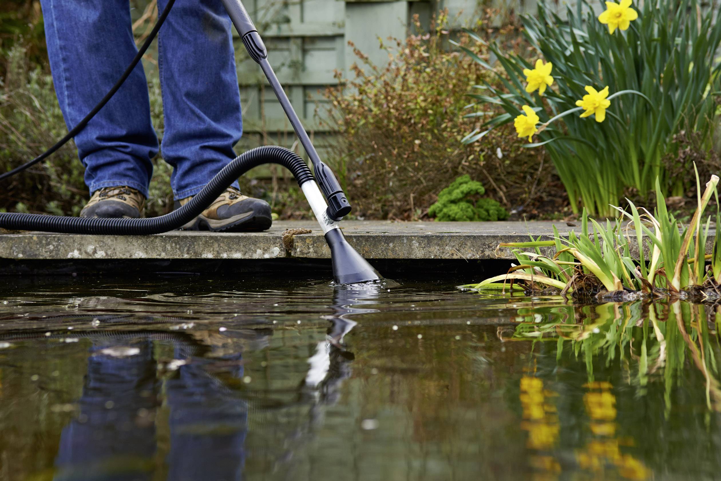 Een persoon reinigt een vijver met een tuinslang. Naast de vijver bloeien gele narcissen.