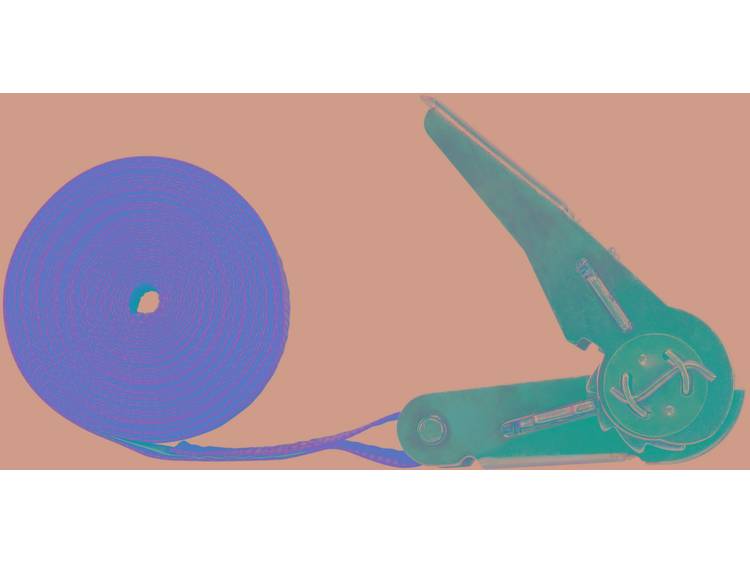 TOOLCRAFT Spanband (eendelig) Trekkracht (lc) vastbinden (enkel-direct)=250 daN (l x b) 5 m x 25 mm