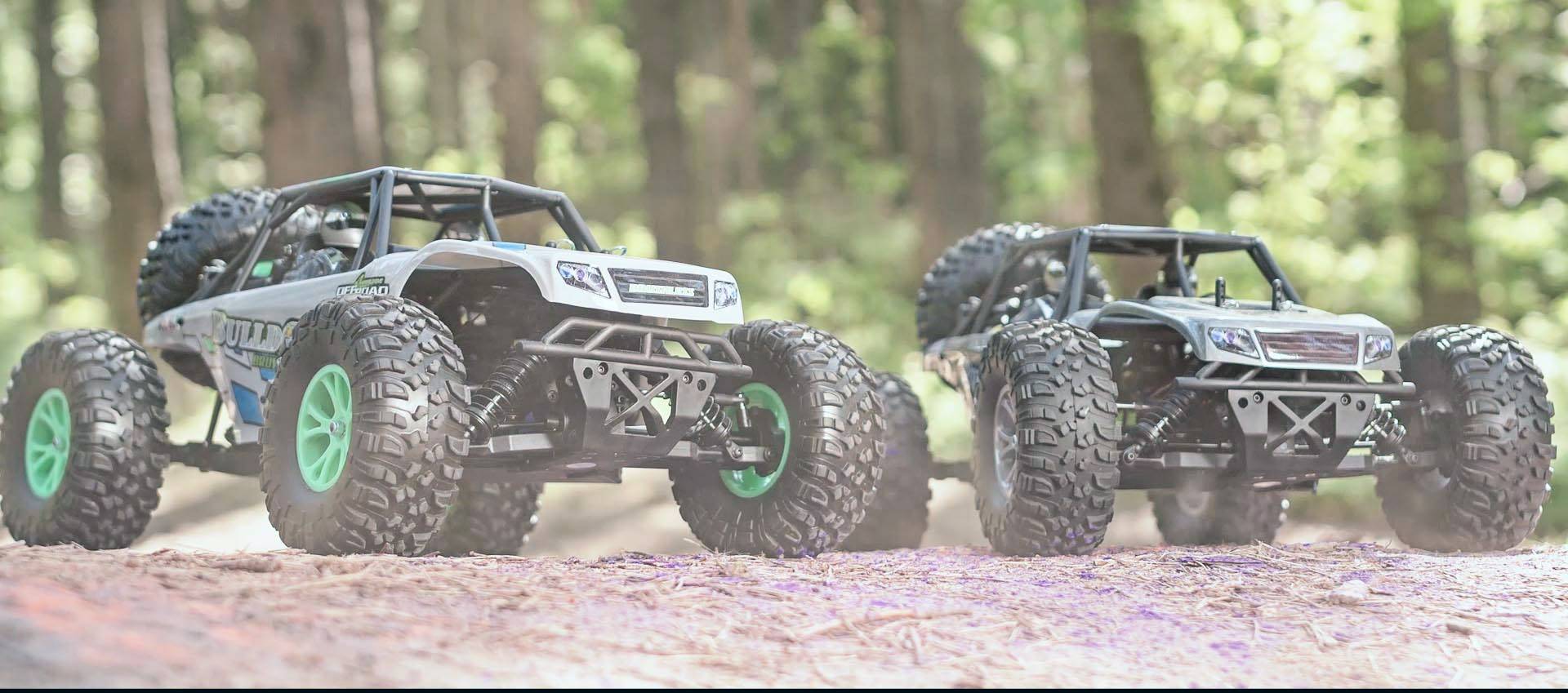 Reely Bulldog 110 Brushed RC auto Elektro Buggy 4WD RTR 2,4 GHz
