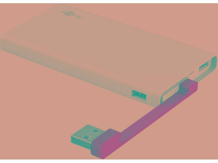 Goobay 10000 mAh Powerbank 2 USB-poort(en)