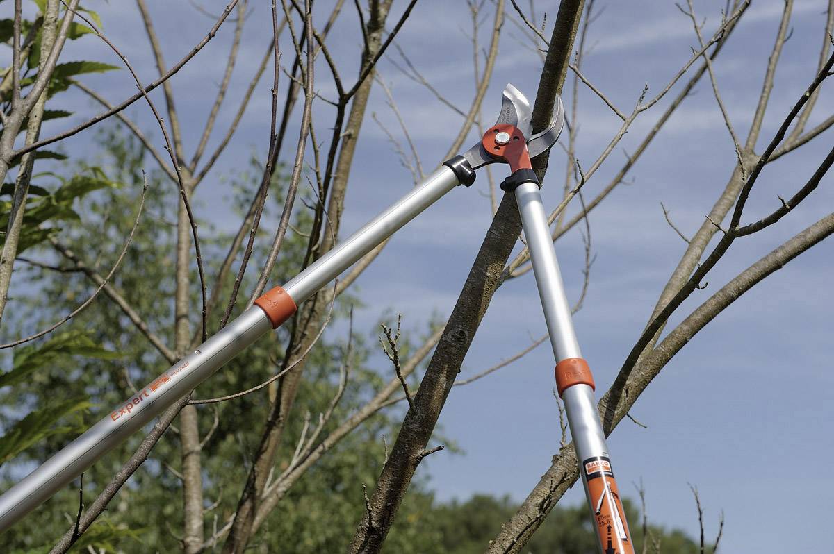 BAHCO SA.PG-19-F Snoeischaar; 700÷900mm; staal; Ø40mm max; EXPERT - 1 stuk-2