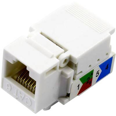 Een witte CAT6-keystone-modulstekker met kleurgecodeerde aansluitingen voor netwerbekabeling.