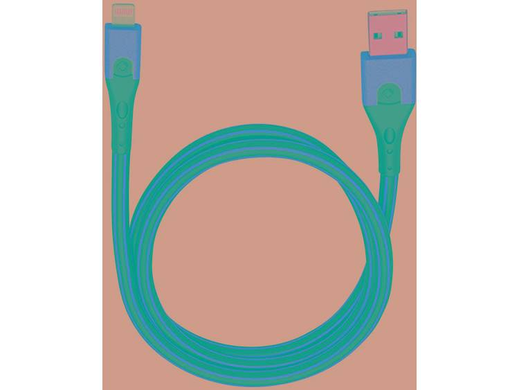USB Evolution USB-A-Apple Lightning 3,00m