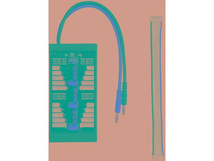 VOLTCRAFT LiPo laadboard Uitvoering lader: bananenstekker Uitvoering accupack: T-stekkersysteem, XH 