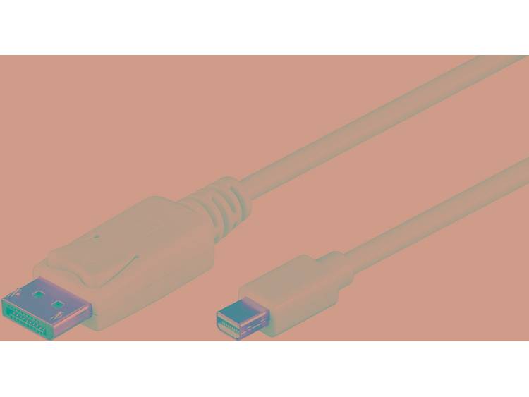 Mini DisplayPort > DisplayPort 1.0 meter Adaptor cable Quality4All