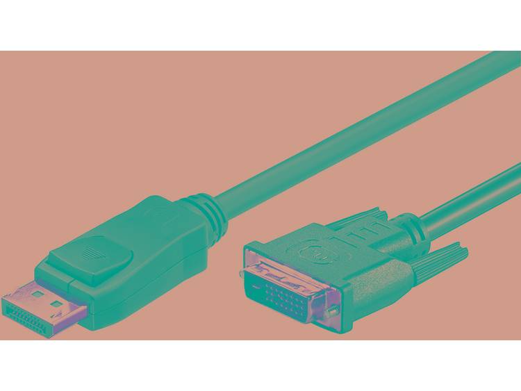 DisplayPort naar DVI kabel 2 meter