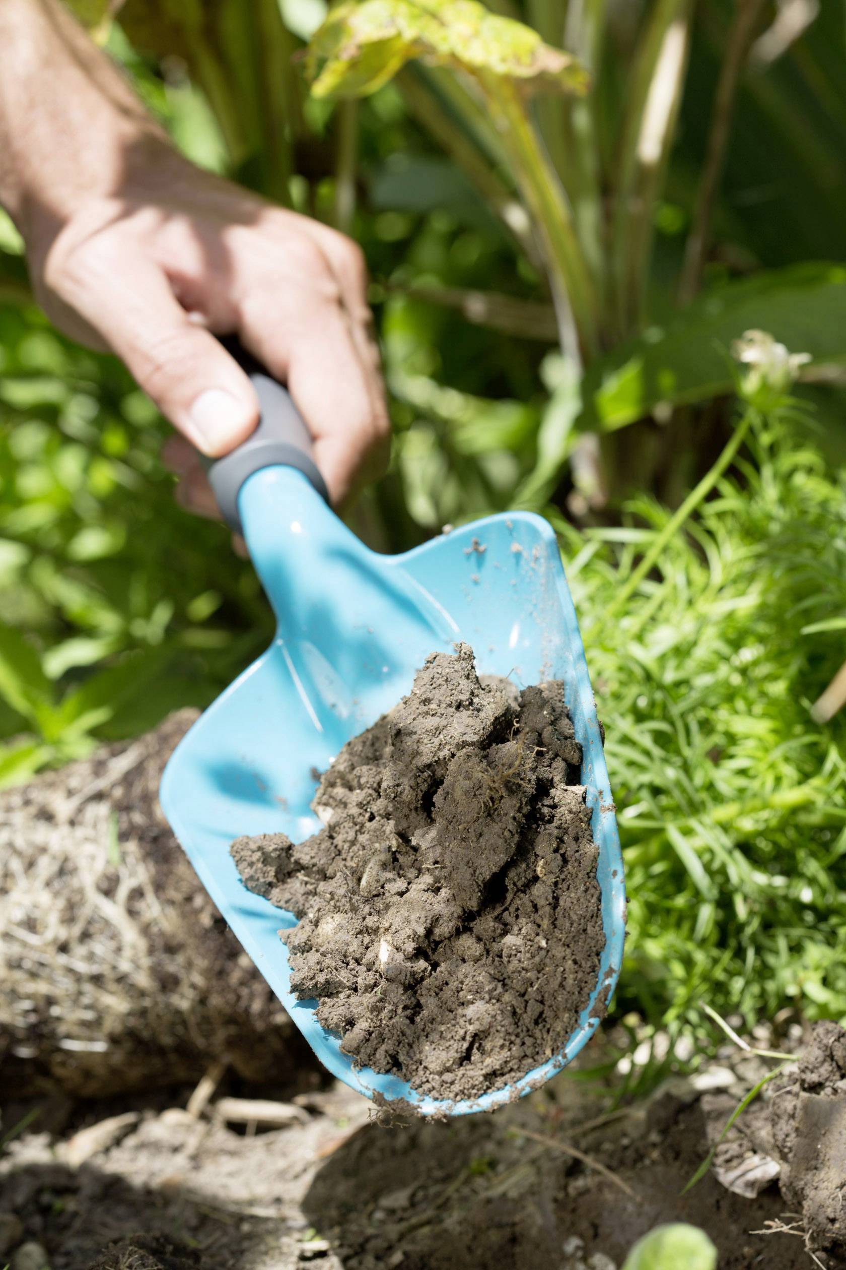 Een hand houdt een blauwe schep met aarde voor een groene tuinachtergrond, symbool voor tuinieren en plantenverzorging.