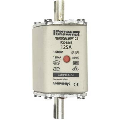 Een cilindrische zekering met het opschrift 'NH00GG50V125 125A 500V'. Merknaam bovenaan, technische details eronder.