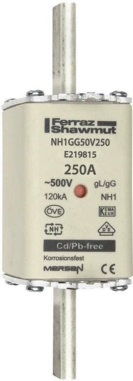 Een NH-zekering van Ferraz Shawmut, model NH1GG50V250, 250 A, 500 V. E219815 gedrukt. Symbolen en merklogo's zichtbaar.