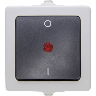 Een zwarte tuimelschakelaar op een witte omlijsting, met een rood lampje en de symbolen 'O' voor Uit (boven) en 'I' voor Aan (onder).