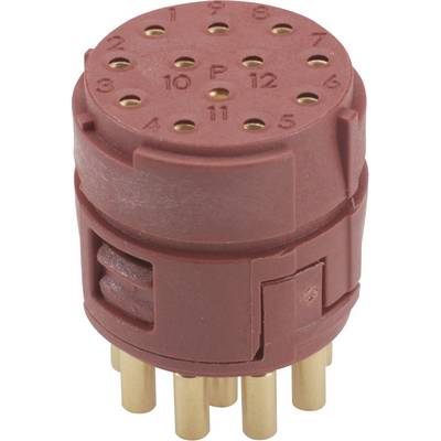 'Rode, ronde elektrische stekker met gouden pinnen en 12 genummerde gaten, geschikt voor elektronische apparaten.'