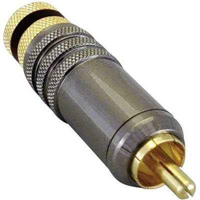 BKL Electronic 0101020 Cinch-connector Stekker, recht Aantal polen: 2  Zwart 1 stuk(s) 