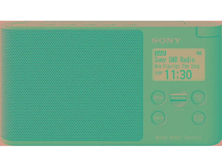 Sony XDR-S41DL Blauw