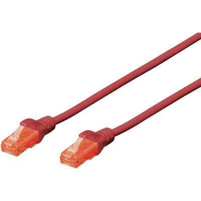 Een rood Ethernet-kabel met twee transparante connectoren, dat wordt gebruikt voor het verbinden van netwerktechnologie.
