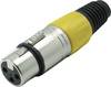 Kash 55022-Y XLR-connector Koppeling, recht Aantal polen: 3 Geel 1 stuk(s)