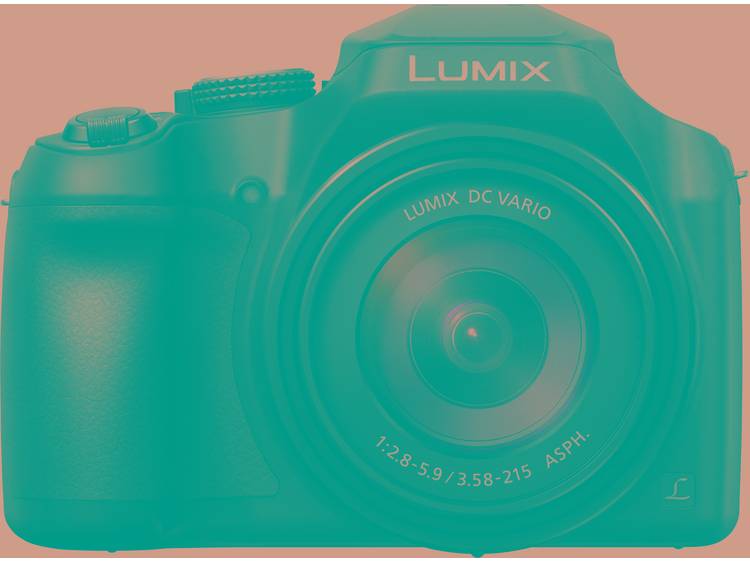 Panasonic Lumix DC-FZ82 compact camera zwart