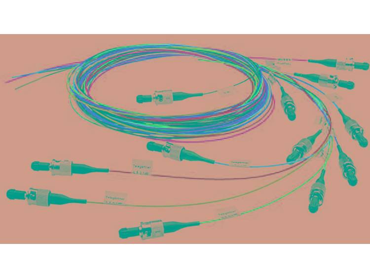Kabel TelegÃ¤rtner Glasvezel [1x ST-stekker 1x Open kabeleinde] 50-125Âµ 2 m