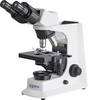 Kern OBL 135 OBL 135 Doorlichtmicroscoop Trinoculair 1000 x Doorvallend licht