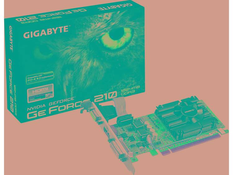 GT210 1GB GF GT210 1GB DDR3 LP PCI-E