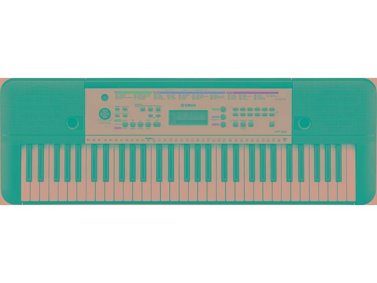 Yamaha Keyboard Incl. netvoeding