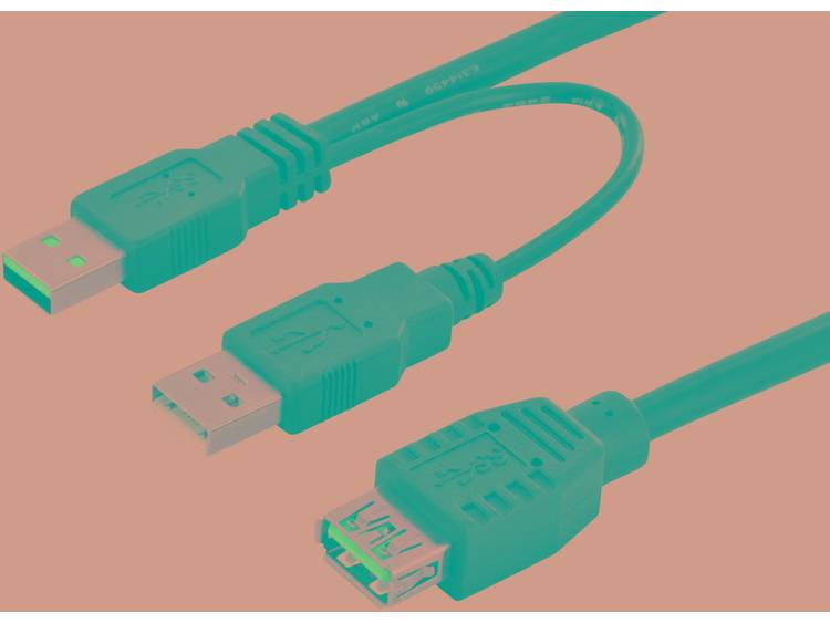 Digitus 84160 0.3m USB A 2 x USB A USB-kabel