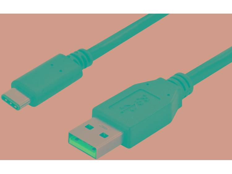 Ednet 84310 1m USB C USB A Zwart USB-kabel