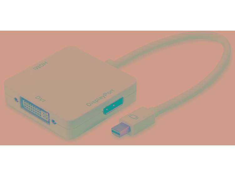 Ednet Ednet DisplayPort splitter kabel type mini DP DP, HDMI, DVI, 0,2 met (84511)