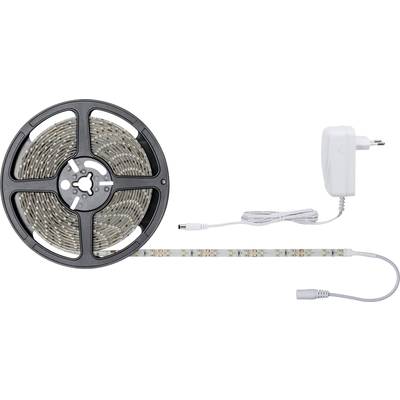 LED-lichtsnoer op rol met voedingsadapter. Perfect voor decoratieve verlichting binnenshuis. Stopcontact en kabel zichtbaar.