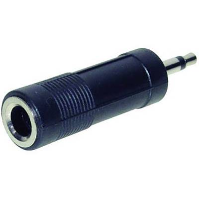 Een zwarte audio-adapterplug met 3,5 mm jackstekker op een witte ondergrond.