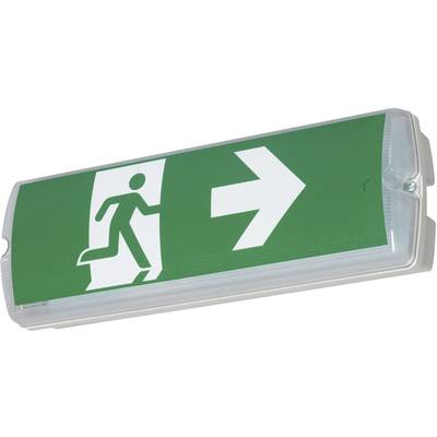 Groen nooduitgangsbord met een wit pictogram van een rennende persoon en een pijl naar rechts, geeft de vluchtrichting aan.