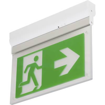 Groen nooduitgangsbord met een witte figuur die naar rechts door een deur rent, en een witte pijl naar rechts.