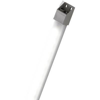 Witte LED-lamp in rechte vorm, diagonaal gezien, met grijze bevestiging aan één uiteinde.