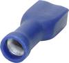 TRU COMPONENTS 1582966 Platte stekker (female) Insteekbreedte: 2.80 mm Insteekdikte: 0.50 mm 180 ° Volledig geïsoleerd Blauw 1 stuk(s)
