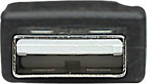 Close-up van een rechthoekige USB-aansluiting, omgeven door een zwarte kunststof behuizing.