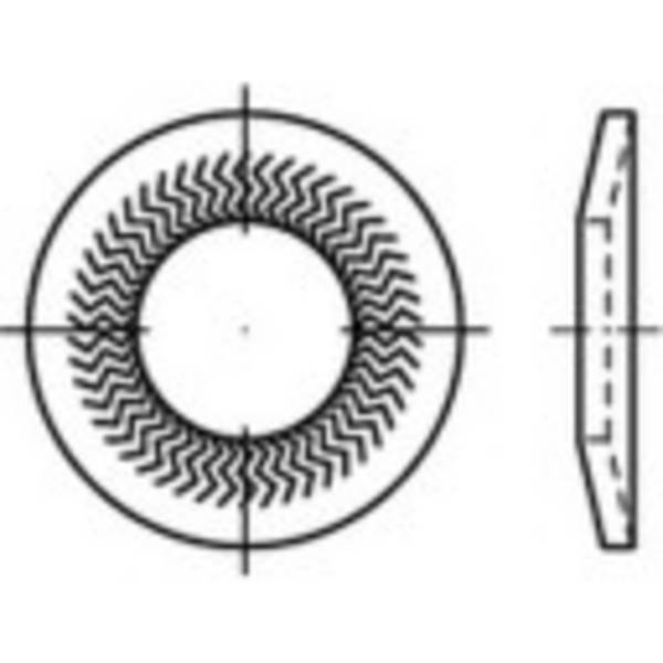 Grendelschijven 10 mm 20.25 mm Verenstaal Verzinkt 250 stuk(s) Alstertaler Schrauben & Präzisionsteile 159393