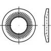 Grendelschijven 5 mm 10.2 mm Verenstaal Verzinkt 250 stuk(s) Alstertaler Schrauben & Präzisionsteile 159390