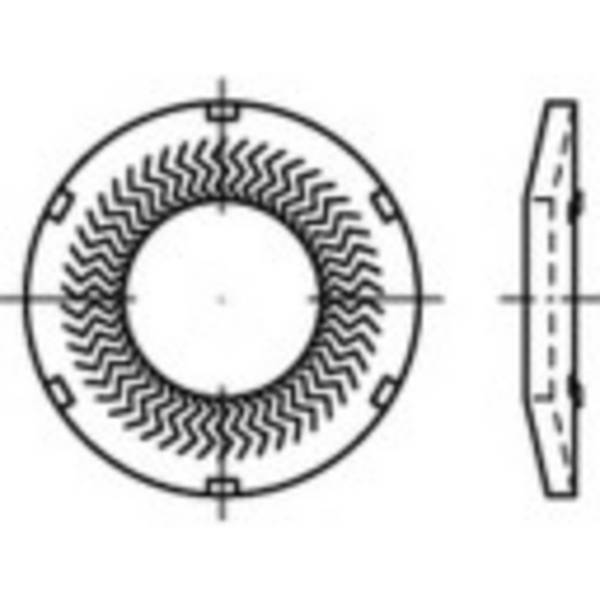 Grendelschijven 5 mm 10.2 mm Verenstaal Verzinkt 250 stuk(s) Alstertaler Schrauben & Präzisionsteile 159421