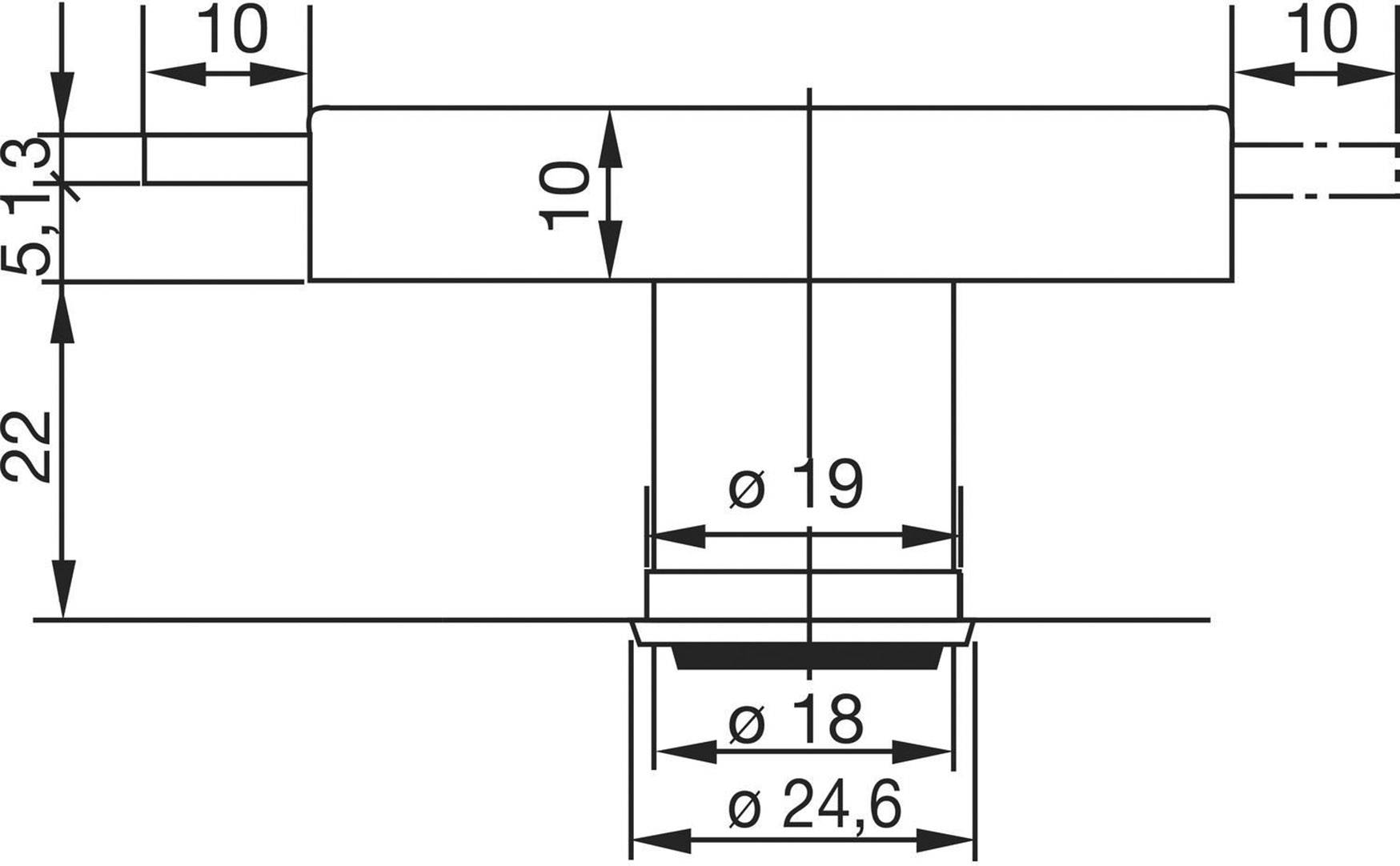 Technische tekening van een cilinderstift met maatvoering in millimeters: lengte 22, diameter 18 en 19, aanvullende maten en toleranties aangegeven.