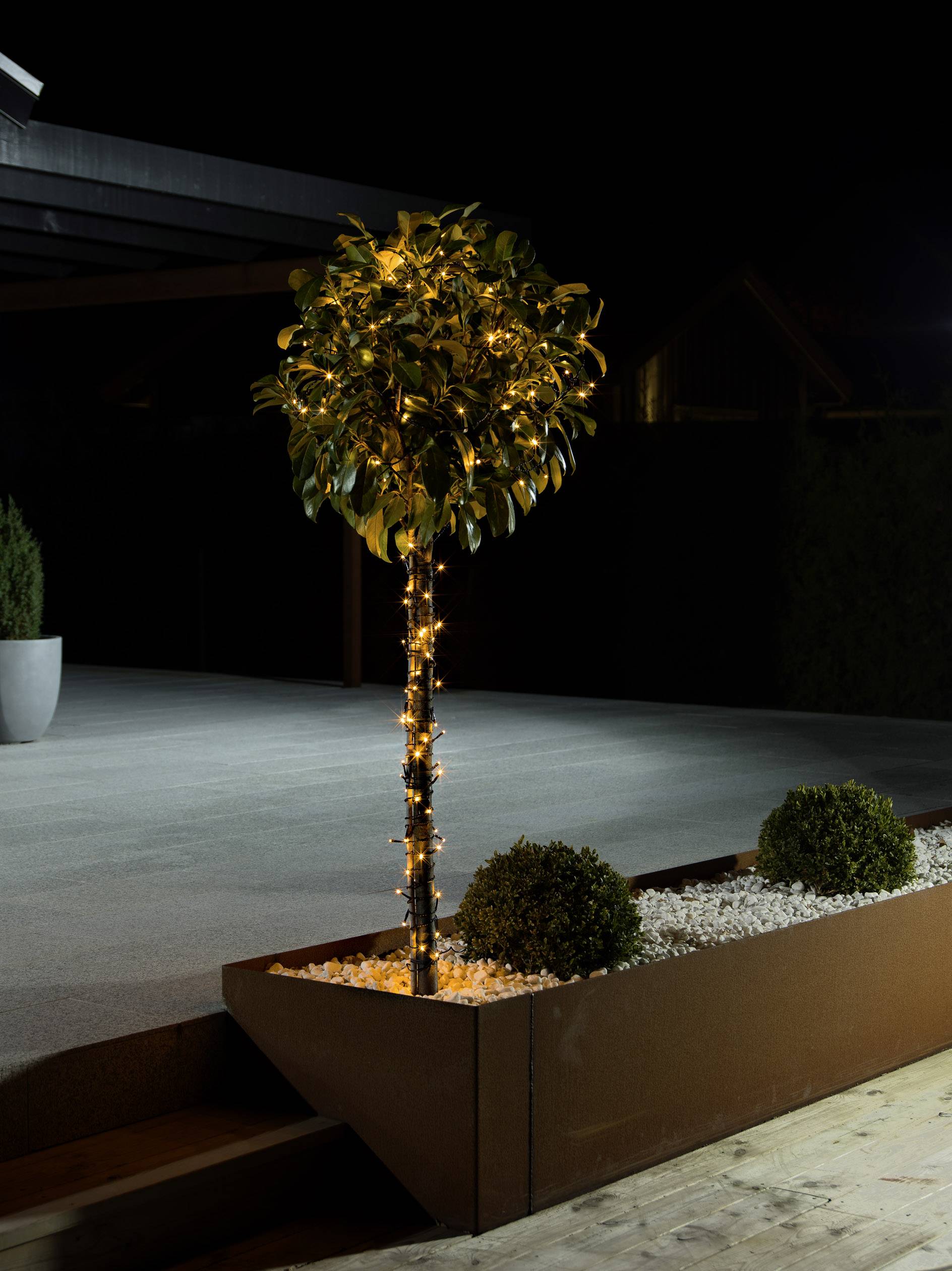 Een boom in een plantenbak, 's nachts verlicht met slingers, omgeven door kiezelstenen en kleinere planten in een moderne tuin.