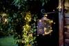 Konstsmide 3812-100 Micro-lichtketting Buiten Energielabel: G (A - G) werkt op het lichtnet Aantal lampen 120 LED Warmwit Verlichte lengte: 19.04 m