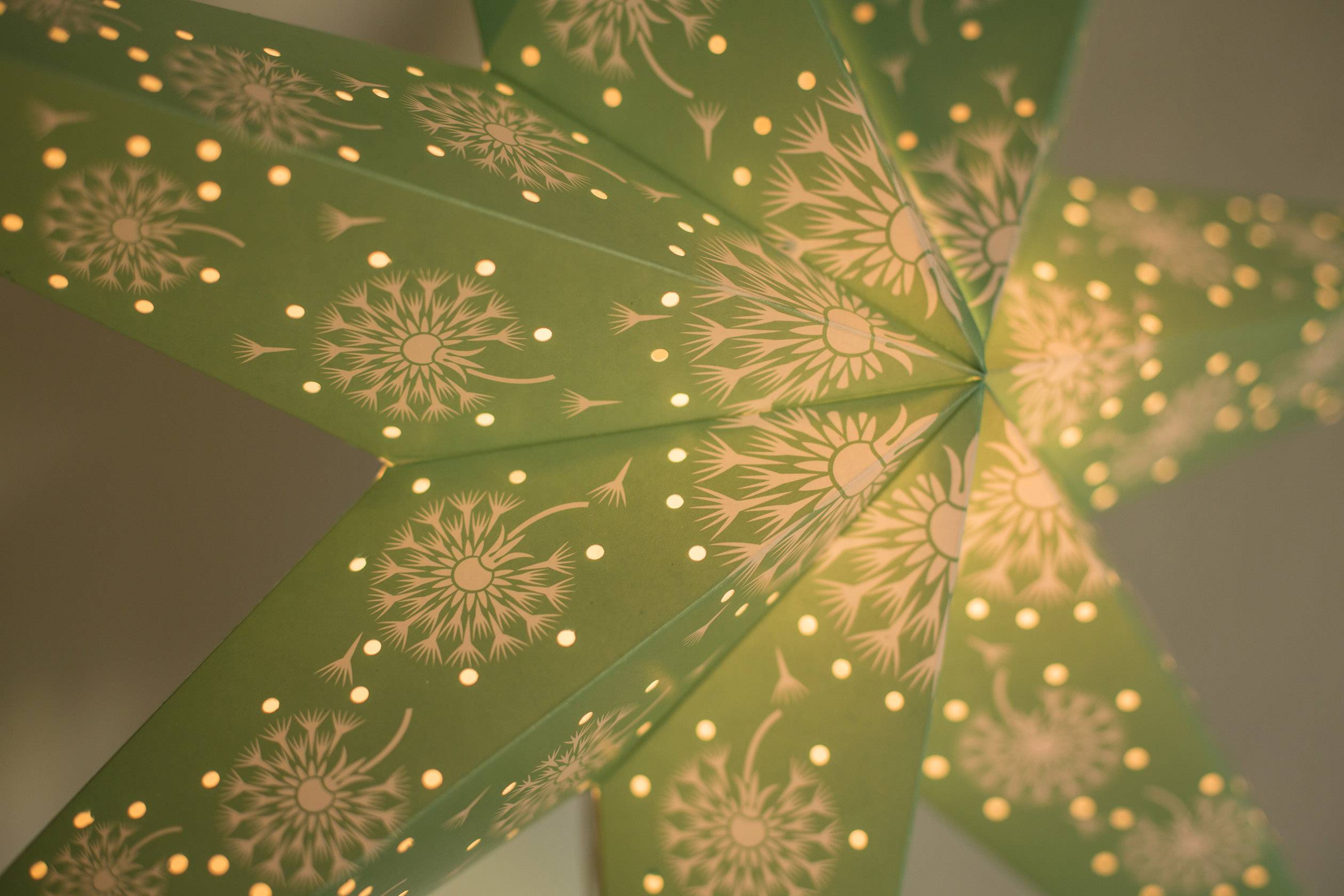 Een groene, verlichte papieren ster met bloemenmotief, die aan het plafond hangt en een warme gloed verspreidt.