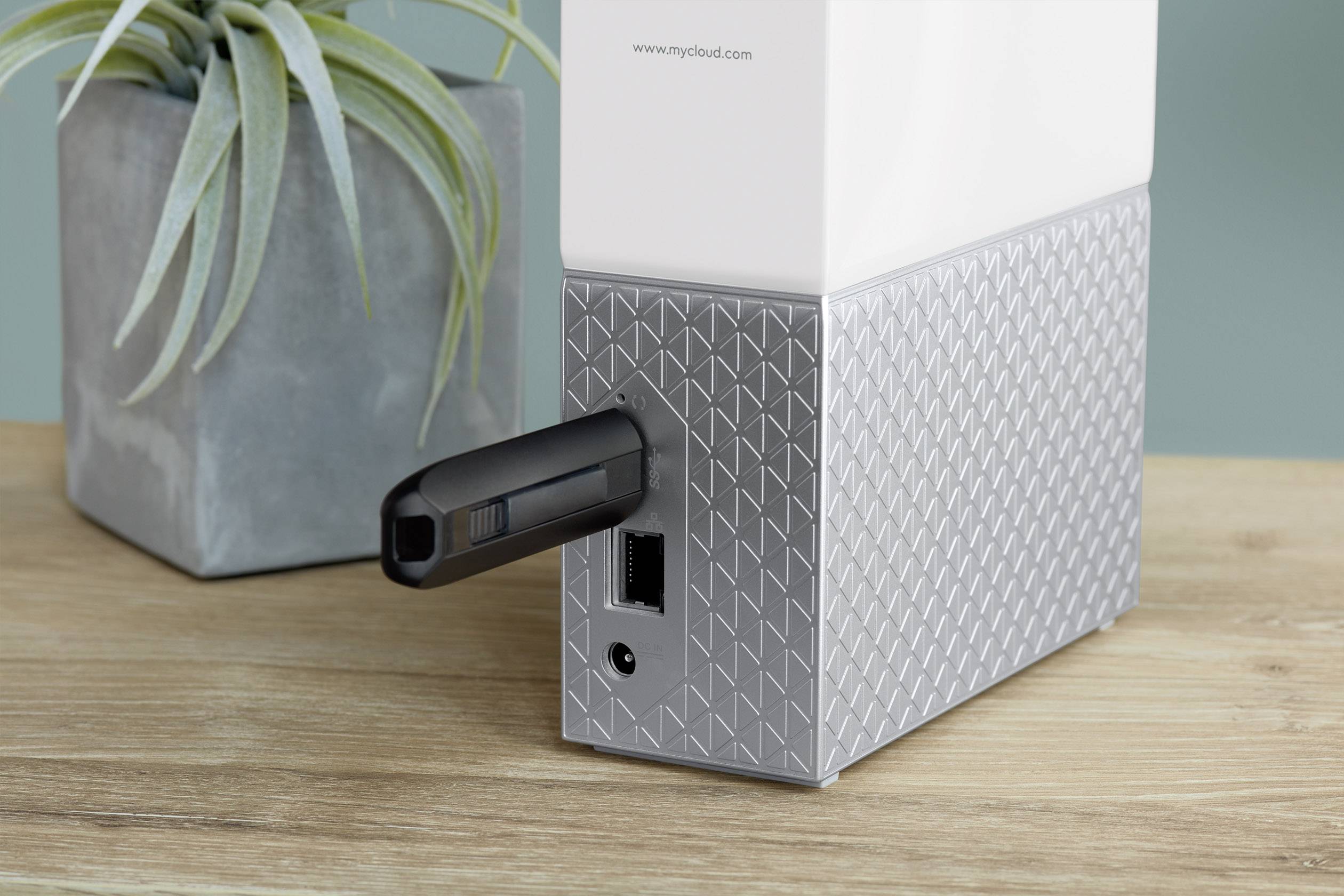 Externe harde schijf met USB-stick, LAN-aansluiting, naast een pot met een plant. Opslag- en elektronische oplossing voor kantoor of thuis.