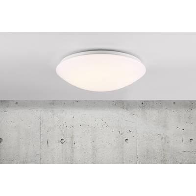 Gelijk mager aantal Nordlux 45386501 Ask LED-buitenlamp met bewegingsmelder (plafond) LED 18 W  Wit kopen ? Conrad Electronic